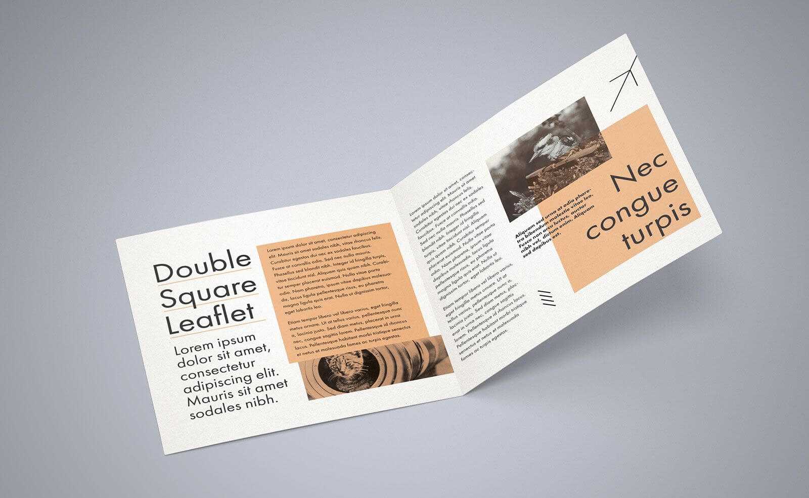 007 Bi Fold Brochure Template Free Wondrous Ideas Download throughout Two Fold Brochure Template Psd