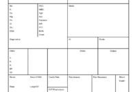 Brain Nurse Report Sheet Template - Nursejanx Store regarding Nurse Report Template